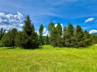 17 Twenty Peak Gulch Lane Trout Creek, MT 59874