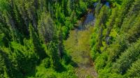 17 Twenty Peak Gulch Lane Trout Creek, MT 59874