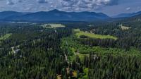 17 Twenty Peak Gulch Lane Trout Creek, MT 59874