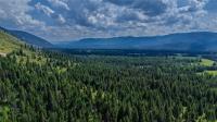 17 Twenty Peak Gulch Lane Trout Creek, MT 59874