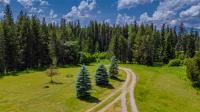 17 Twenty Peak Gulch Lane Trout Creek, MT 59874