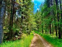 17 Twenty Peak Gulch Lane Trout Creek, MT 59874