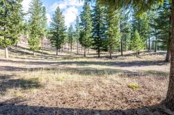 Lot 15 Muddler Court Clinton, MT 59825