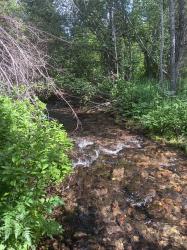 732 Upper Cotton Lane De Borgia, MT 59830