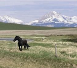 301 Middle Fork Road Dupuyer, MT 59432