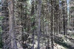 2215 Pleasant Valley Road Marion, MT 59925