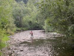 1305 Skalkaho Hwy Hamilton, MT 59840