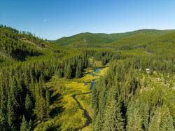 Nhn Logan Creek Road Kila, MT 59920