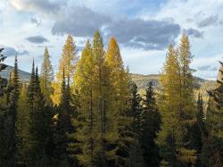 1089 Cedar Hills Road Trego, MT 59934