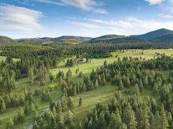 587 Cozy Lane Helmville, MT 59843
