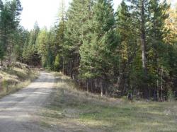 Lot 8 Whispering Pines Subdivision Fortine, MT 59918