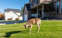 6610 Justin Court Missoula, MT 59803