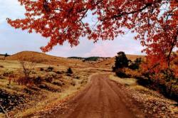 187 Edwards Gulch Road Drummond, MT 59832