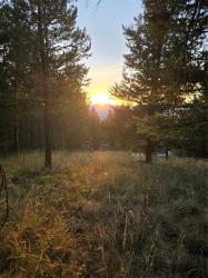 218 Walking Coyote Drive LOT 68 Kalispell, MT 59901