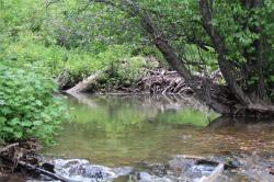 25 Wildcreek Trail Bozeman, MT 59715