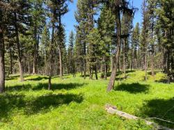 167 Telemark Way Seeley Lake, MT 59868