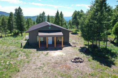 216 Cramer Springs Trail Clinton, MT 59825