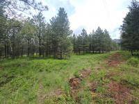 23355 Sunbilla Drive Arlee, MT 59821