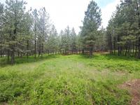 23355 Sunbilla Drive Arlee, MT 59821
