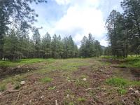 23355 Sunbilla Drive Arlee, MT 59821