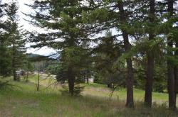 197 Walking Coyote Drive Kalispell, MT 59901