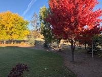 19066 King Road Florence, MT 59833