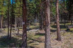 1050 Grandview Drive Seeley Lake, MT 59868