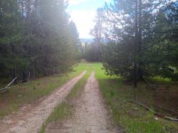 763 Upper Cotton Lane De Borgia, MT 59830