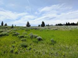 127 Panorama Drive White Sulphur Springs, MT 59645