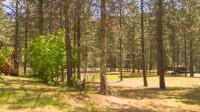 1055 Terrace View Drive Alberton, MT 59820