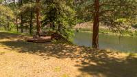 1055 Terrace View Drive Alberton, MT 59820