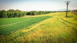 NHN Shields River Road Wilsall, MT 59086