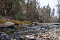 950 Pauly Drive Deer Lodge, MT 59722