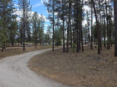 125 Pine Drive Victor, MT 59875