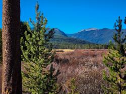 4024 La Marche Creek Road Anaconda, MT 59711