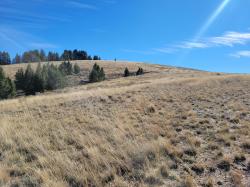 116 Mountain View Trail White Sulphur Springs, MT 59645