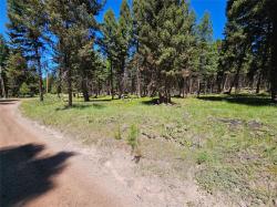 264 Evergreen Drive Seeley Lake, MT 59868