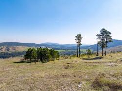 20896 Majestic Heights Road Sturgis, SD 57785