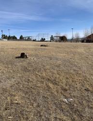 TBD Industrial Drive Pine Haven, WY 82721