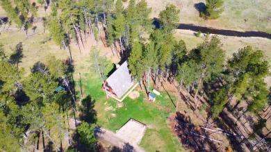 25287 Lower French Creek Road Custer, SD 57730