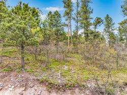 Lot 7 Heritage Ave Lead, SD 57754-3730