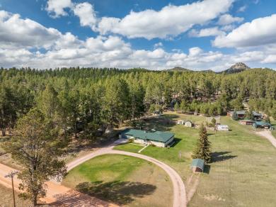 25150 Upper French Creek Road Custer, SD 57730