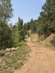 11425 Blacktail Bench Road Deadwood, SD 57732