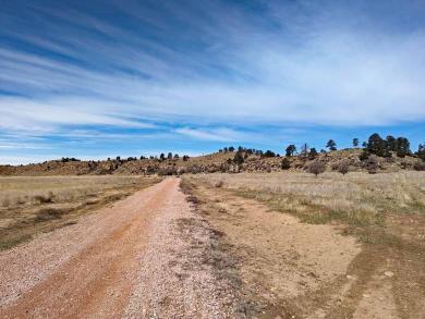 12090 Rocky Ford Road Hot Springs, SD 57747