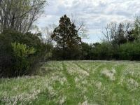 Lot 86 Lake Faulkton Subd -- Faulkton, SD 57438