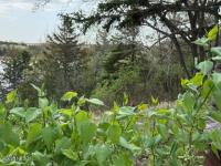Lot 86 Lake Faulkton Subd -- Faulkton, SD 57438