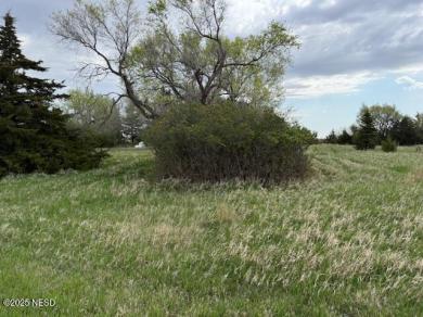 Lot 83 Lake Faulkton Subd -- Faulkton, SD 57438