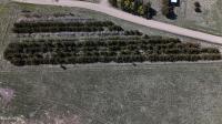 Outlot A & Lot 1 Lake Faulkton -- Faulkton, SD 57438