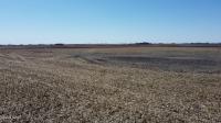 441st Avenue Webster, SD 57274