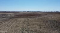 441st Avenue Webster, SD 57274
